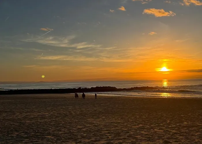 Swell Patio - 5 Minutes A Pied Du Centre D'hossegor Capbreton